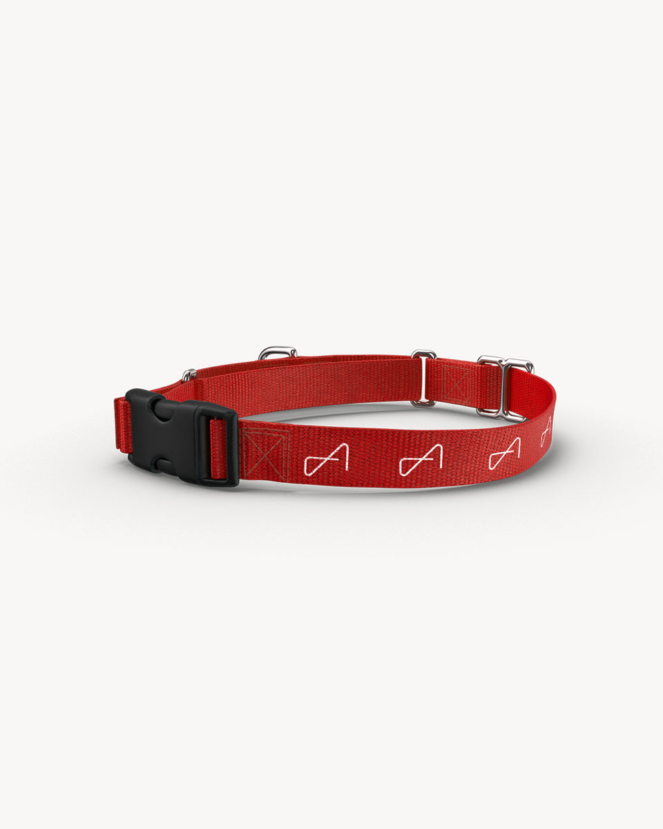 The dog collar store outlet