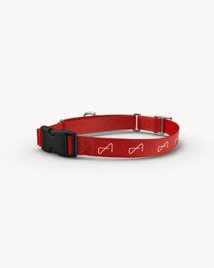 Dog Collar