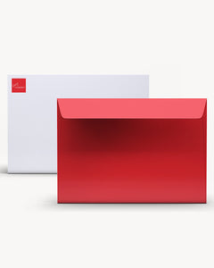 9" x 12" Large Mailing Envelopes (Pack of 25)